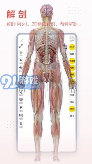 3Dbody藝用3