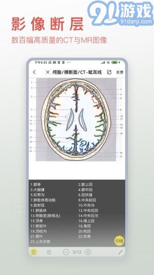 3Dbody藝用4