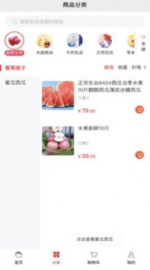 隨團最新版2