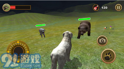 牧羊犬模擬器1