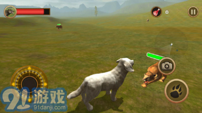 牧羊犬模擬器3