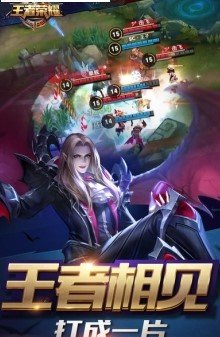 王者荣耀胜率修改器app25(图1)