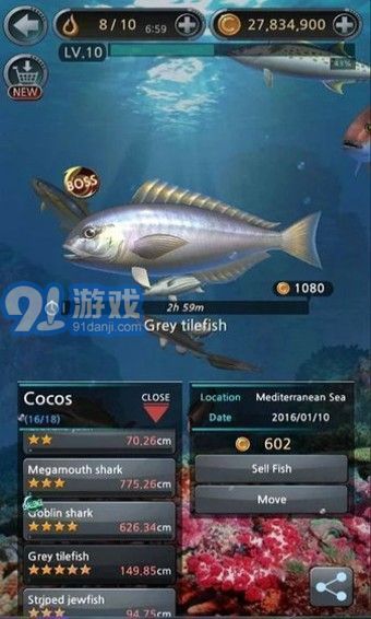 釣魚(yú)胡克中文3