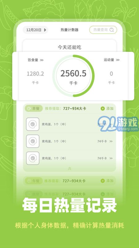 熱量計數(shù)器1