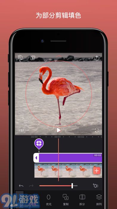 EnlightVideoleap2