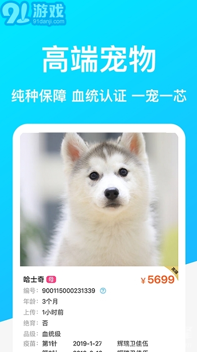 Dog Breeds狗品種(拍照辨識狗狗品種工具)V1.1 安卓手機版2