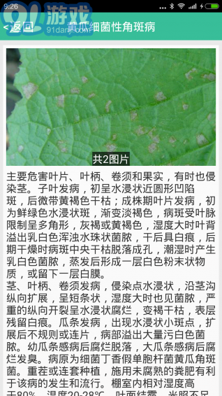 種好地3