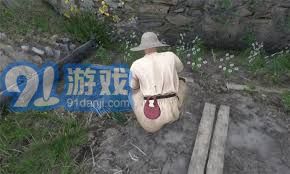 天国拯救2：颠茄与荨麻高效采集地点指南