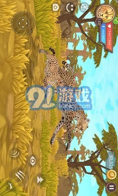 3D動物模擬器2