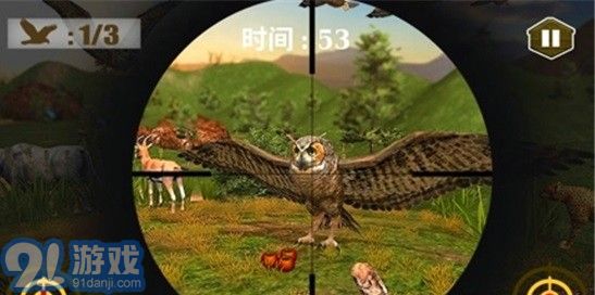 3D貓頭鷹狩獵模擬3