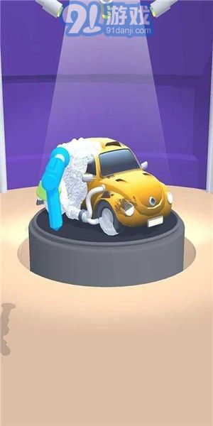 閑置洗車大師內(nèi)購版4