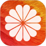 shell32.dll 