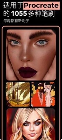 brushes for procreat2