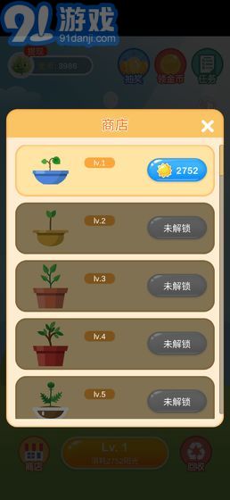 陽(yáng)光金幣屋正版1