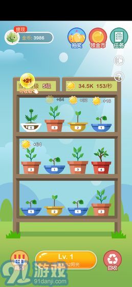 陽(yáng)光金幣屋正版4