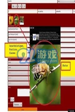 ABA自閉癥教育1