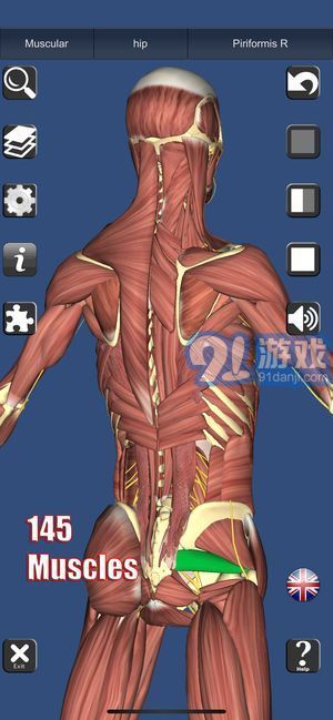 3D解剖5