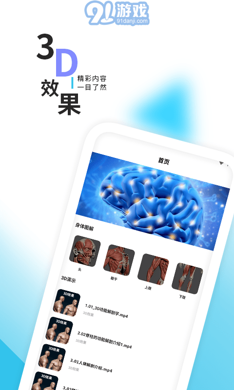 3d人體解剖學(xué)三維圖譜1