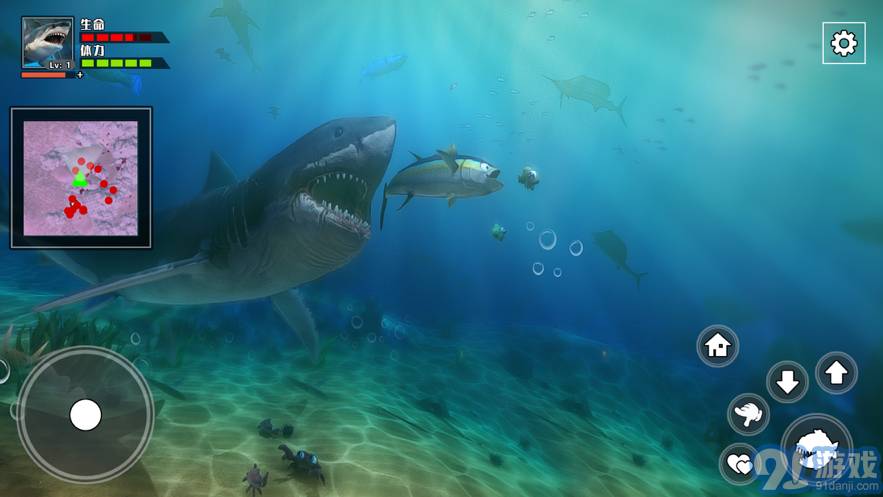 3D海底大獵殺-饑餓鯊1