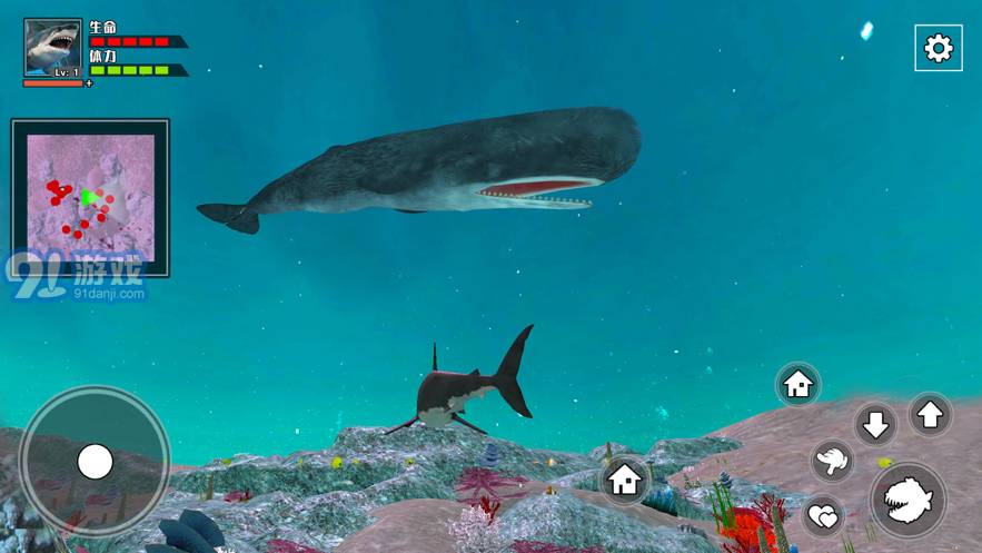 3D海底大獵殺-饑餓鯊3