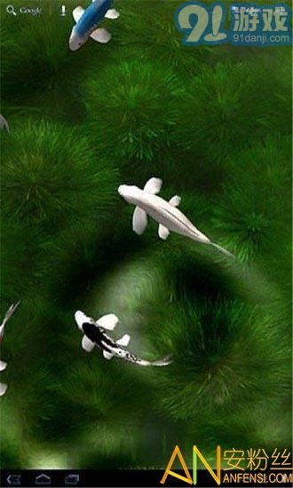 自由錦鯉動(dòng)態(tài)壁紙1