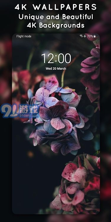 4K3D動(dòng)態(tài)壁紙5