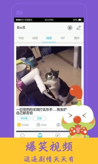 4399Biu樂1