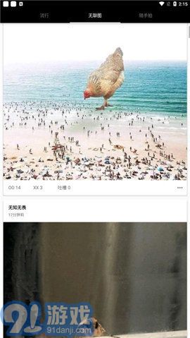 煎蛋1