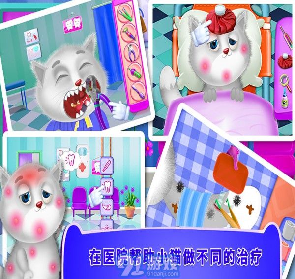 照顧小貓咪1