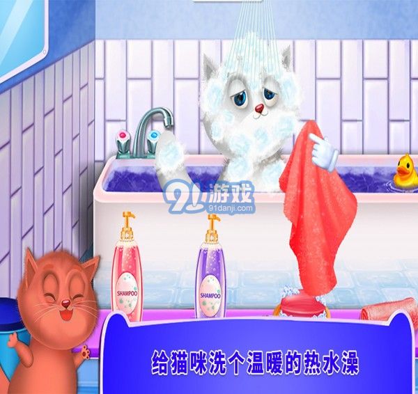 照顧小貓咪2