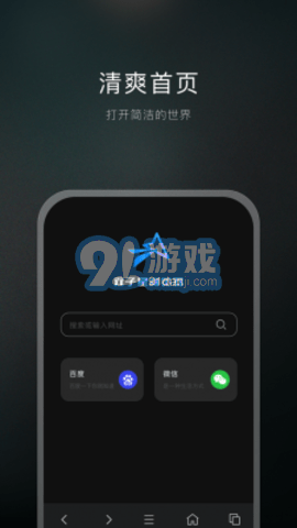 雙子星瀏覽器2