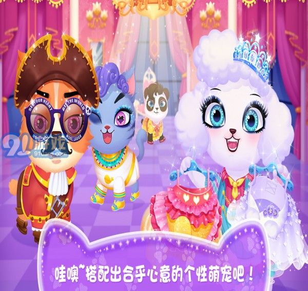 天才寵物美容院1