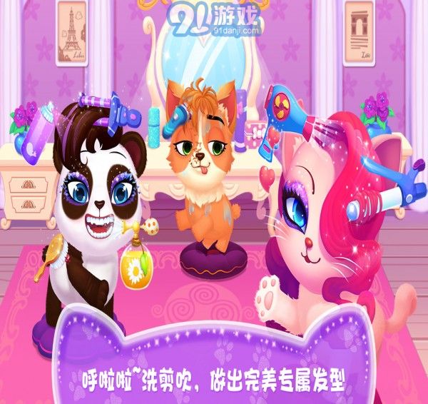 天才寵物美容院3