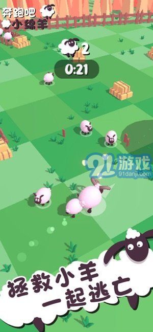 奔跑吧小綿羊1