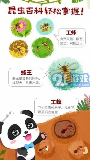 奇妙昆蟲世界螞蟻王國2