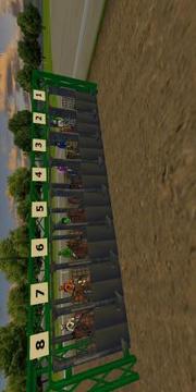 Derby Horse Quest1