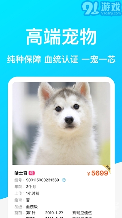 dog breeds2