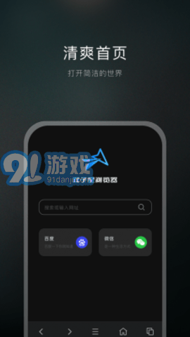 雙子星瀏覽器2