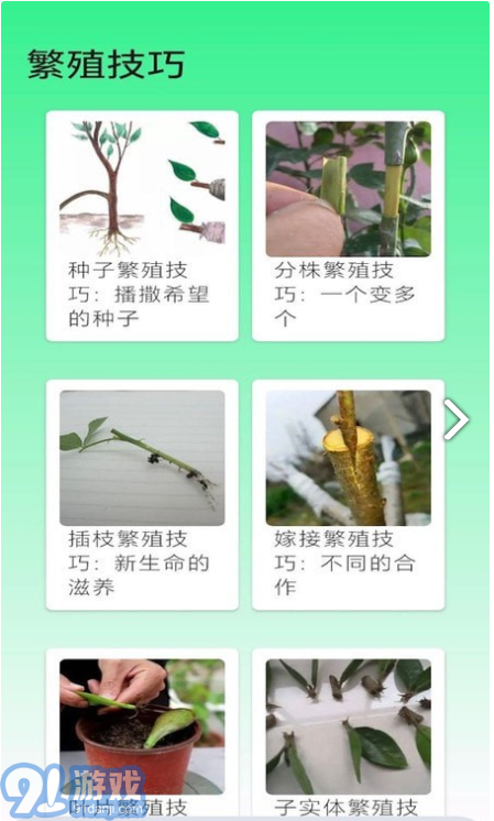 果園管家1