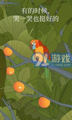孤獨的鳥兒1