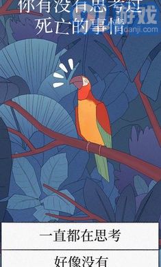 孤獨的鳥兒3