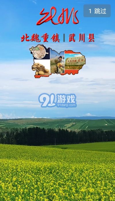 印象武川3