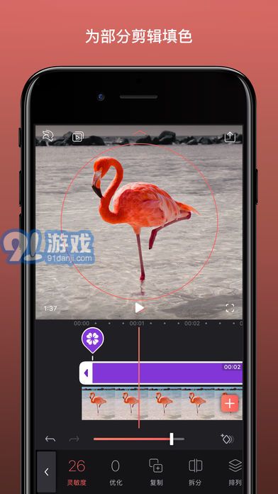 EnlightVideoleap2