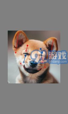 DragGAN AI圖像編輯3