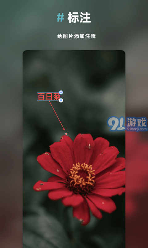 Annotable圖片處理2