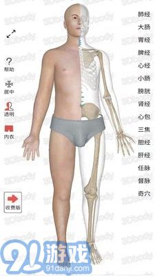 3D經(jīng)絡(luò)穴位3