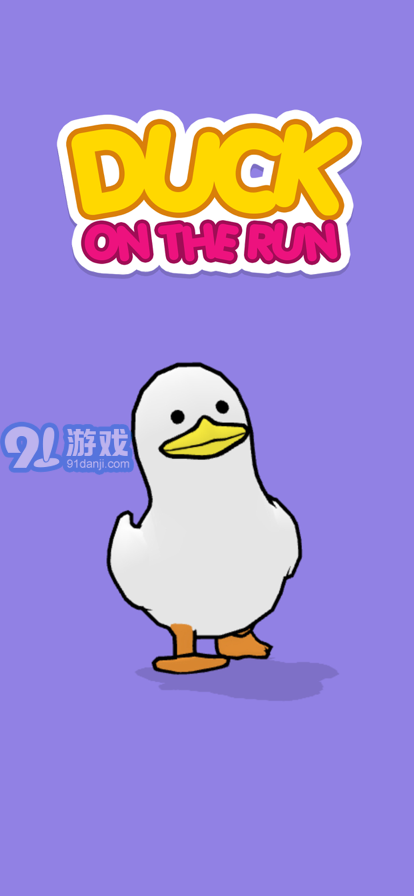 duck run1