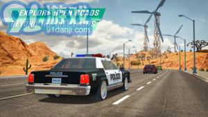 Police Sim20221
