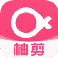 shell32.dll 