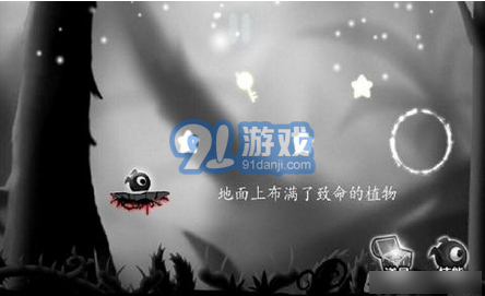 奇妙的森林4